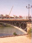 CIMG8599.JPG