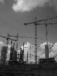 CIMG9650.JPG