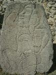 CIMG7861.JPG