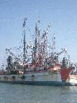 CIMG8434.JPG