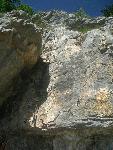 CIMG0729.JPG