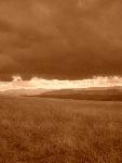 CIMG0786.JPG